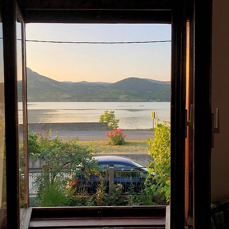 Apartman Velojic Donji Milanovac Dış mekan fotoğraf