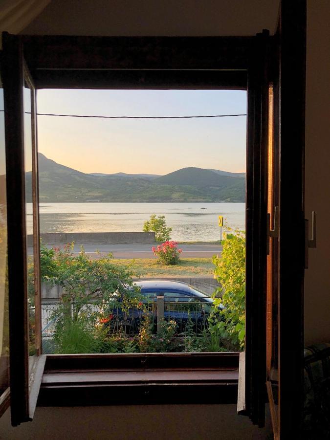 Apartman Velojic Donji Milanovac Dış mekan fotoğraf
